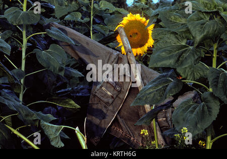 Vogelscheuchen, Wächter der Samen Stockfoto