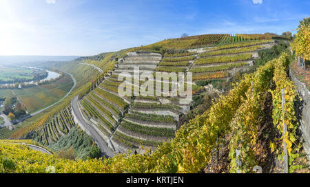 Weinberge am Neckar im Herbst in der Nähe von mundelsheim aufgezeichnet, Deutschland Stockfoto