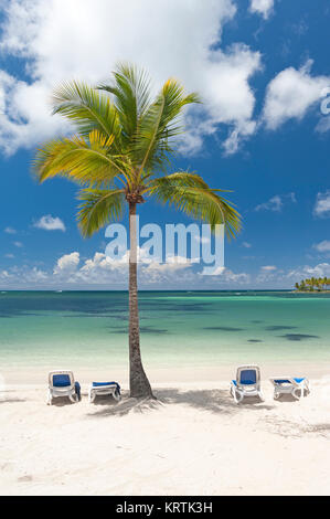 Coconut Tree mit Liegestühlen am tropischen Strand in der Karibik Stockfoto