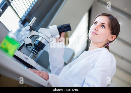 Portrait einer weiblichen Chemie Student Forschungsarbeiten in einem Chemielabor (Farbe getonte Bild flach DOF) Stockfoto