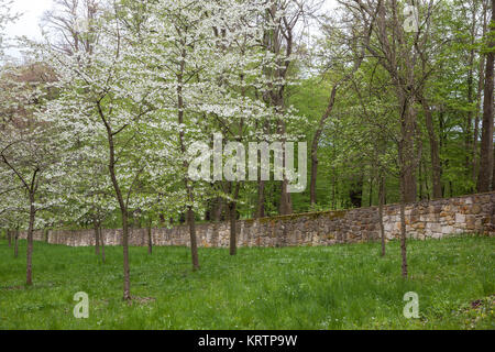 Schlosspark ballenstedt Harz Stockfoto