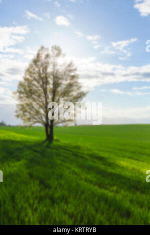 Natur im Herbst Stockfoto