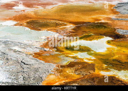 Mammoth Hot Springs Bakterien Mat Stockfoto