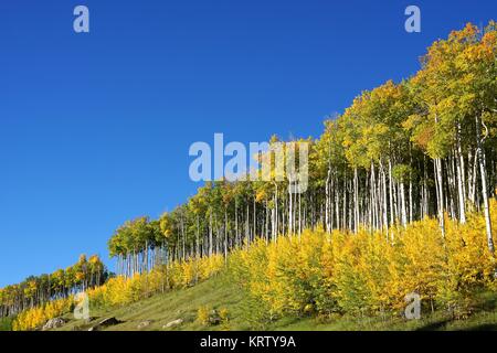 indian Summer # 01 Stockfoto