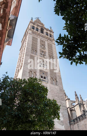 Kirche der Verkündigung, der Giralda und Sevilla Kathedrale im Hintergrund, Sevilla, Spanien Stockfoto