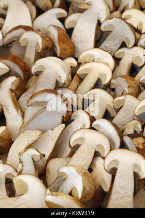 Frische Steinpilze Steinpilze Hälften Nahaufnahme Stockfoto