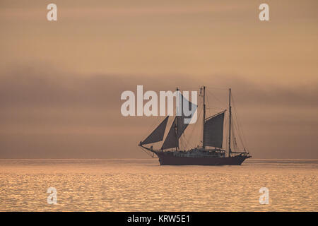 Ein Segelschiff auf der Ostsee im Sonnenuntergang