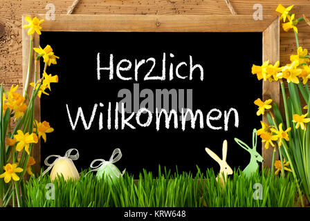 Tafel mit deutschem Text Herzlich Willkommen bedeutet Willkommen. Frühling Blumen Nacissus oder Narzisse mit Gras, Osterei und Hase. Rustikale Alter Holz- Hintergrund Stockfoto