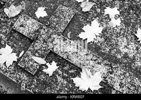 Christlichen Grab in Moos und Blätter im Herbst. Stockfoto