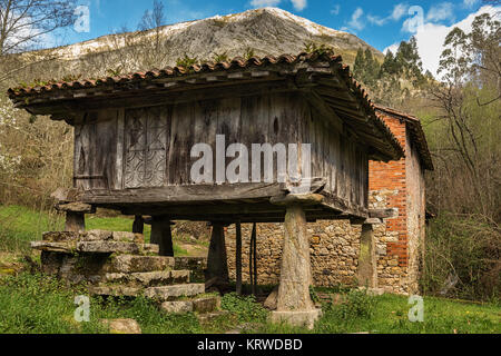 Horreo asturiano. Asturische Scheune. Populäre Architektur in Riocaliente. Asturien. Spanien. Stockfoto