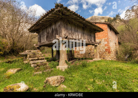 Horreo asturiano. Asturische Scheune. Populäre Architektur in Riocaliente. Asturien. Spanien. Stockfoto