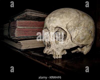 Schädel und alte Bücher über Bücherregal, Österreich Stockfoto