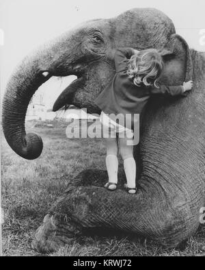 Mädchen flüstert Elefant im Ohr, England, Großbritannien Stockfoto