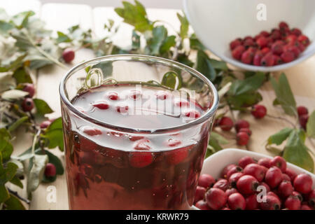 Getränk aus getrockneten Weißdorn-Beeren Stockfoto