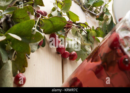 Getränk aus getrockneten Weißdorn-Beeren Stockfoto