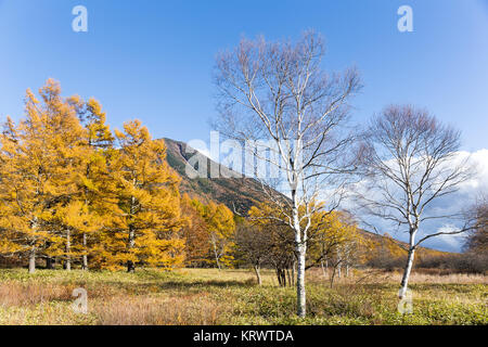 Schöne Landschaft in Nikko Stockfoto