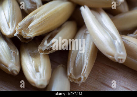 Super Makro Aufnahme von Hafer Korn Stockfoto