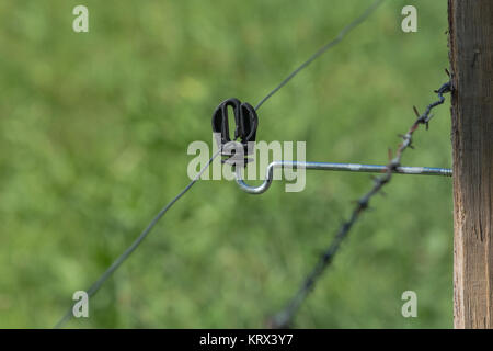 Isolator von einem elektrischen Zaun. Stockfoto