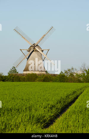 Die Windmühle Destel (Stemwede, Deutschland) ist eine holländische Windmühle und ist Bestandteil der Westfalen Mill Street (Westfaelische Muehlenstrasse). Stockfoto