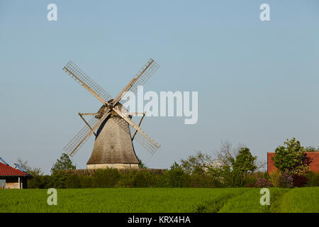 Die Windmühle Destel (Stemwede, Deutschland) ist eine holländische Windmühle und ist Bestandteil der Westfalen Mill Street (Westfaelische Muehlenstrasse). Stockfoto