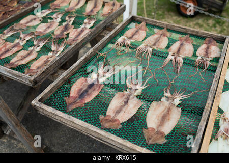 Das Trocknen von Squid im Markt Stockfoto