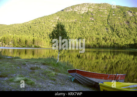 See im Abendlicht Stockfoto