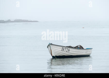 Ballywalter, Co, N Irland, Großbritannien, 21. Dezember 2017. Wetter news. Ein mildes, Ruhe und nebeliger Morgen im Ballywalter, Nordirland. copyright Gary Telford/Alamy leben Nachrichten Stockfoto