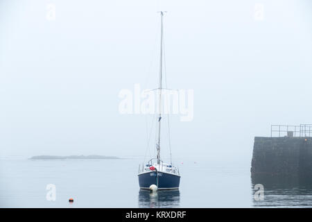 Ballywalter, Co, N Irland, Großbritannien, 21. Dezember 2017. Wetter news. Ein mildes, Ruhe und nebeliger Morgen im Ballywalter, Nordirland. copyright Gary Telford/Alamy leben Nachrichten Stockfoto