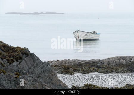 Ballywalter, Co, N Irland, Großbritannien, 21. Dezember 2017. Wetter news. Ein mildes, Ruhe und nebeliger Morgen im Ballywalter, Nordirland. copyright Gary Telford/Alamy leben Nachrichten Stockfoto