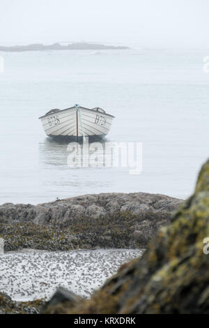 Ballywalter, Co, N Irland, Großbritannien, 21. Dezember 2017. Wetter news. Ein mildes, Ruhe und nebeliger Morgen im Ballywalter, Nordirland. copyright Gary Telford/Alamy leben Nachrichten Stockfoto