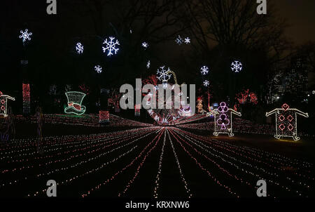 Chicago, USA. 21 Dez, 2017. Die Lincoln Park Zoo leuchtet die Weihnachten und das Neue Jahr in Chicago, USA, Dez. 21, 2017 zu begrüßen. Credit: Wang Ping/Xinhua/Alamy leben Nachrichten Stockfoto