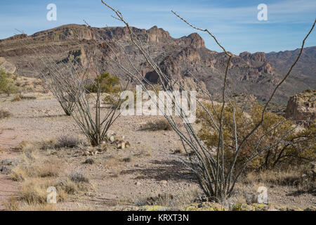 Blick auf die Apache Trail auch als Route 88, die geht durch die Superstition Mountains in Arizona Stockfoto