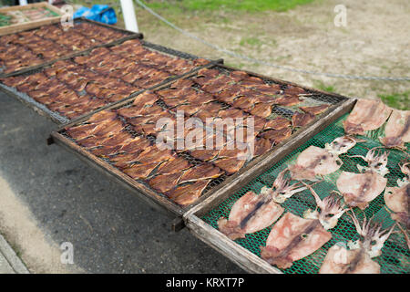 Das Trocknen von squid und Fische im Markt Stockfoto