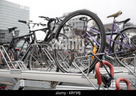 Viele Fahrräder auf dem Parkplatz Stockfoto