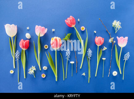 Bunte Blumen auf blau Stockfoto