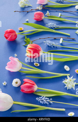 Bunte Blumen auf blau Stockfoto