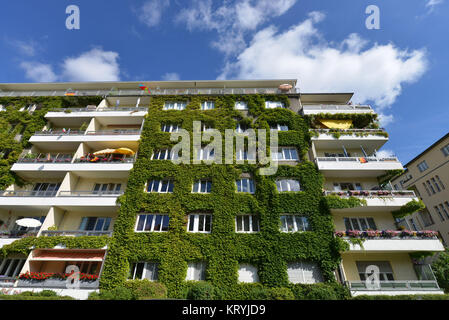 Fassade Anbau von Gras, der Schönheit der Berge, Berlin, Deutschlands/Schönheit Berg, Fassade Anbau von Gras, Fassadenbegruenung, Schöneberg sind Stockfoto