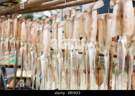 Hängen an der Squid Stockfoto