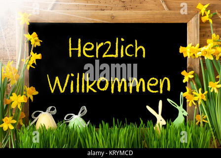 Tafel mit deutschem Text Herzlich Willkommen bedeutet Willkommen. Sonnige Frühling Blumen Nacissus oder Narzisse mit Gras, Osterei und Hase. Rustikale Alter Holz- Hintergrund. Stockfoto