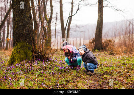 Kinder bewundern Der Frühling Blumen Stockfoto