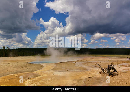 Dampfende Thermal Pool im Yellowstone National Park, USA mit toten Bush im Vordergrund und dramatische cloudscape Stockfoto