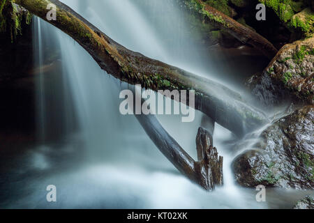 Cascada La Vaioaga in Cheile Nerei Nationalpark Stockfoto