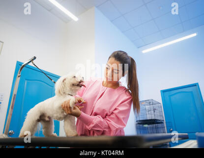 Junge Frau in Pet Shop arbeiten, trimmen Hund Haare, Mädchen Pflege Welpen für Schönheit in speichern. Menschen, Jobs, Berufe und Pflege für Tiere Stockfoto