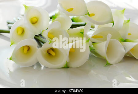 Bündel von arum Lily auf weißem Hintergrund, weiße Blüte aus Ton mit gelben Staubgefäße, handgemachte Kunstwerke aus Ton Kunst Stockfoto