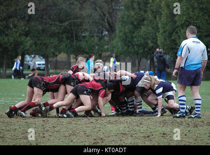 Dieses Bild zeigt ein Rugby-Spiel in Ashbury, Kanada, das sportliche Wettkämpfe und die Beliebtheit des Sports in der Region zeigt. Rugby ist ein beliebter Mannschaftssport in Kanada. Stockfoto