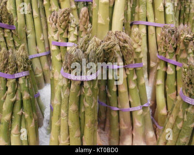 Ein Spargelbündel besteht aus frischen, gebündelten Spargelstangen, die typischerweise im Frühjahr geerntet werden. Spargel ist ein beliebtes Gemüse, das für seine zarten Stiele und seinen Nährwert bekannt ist und oft in verschiedenen Gerichten verwendet wird. Stockfoto