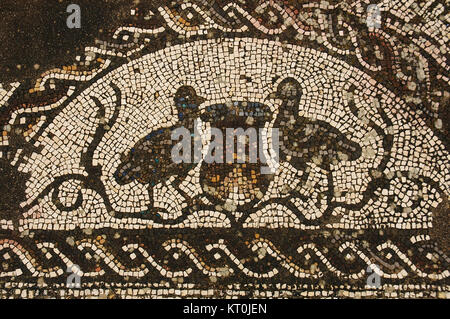 Römische Villa Pisoes. Mosaikfußboden mit naturalistischen Motiven. Vögel. Portugal. Alentejo. Beja. Stockfoto