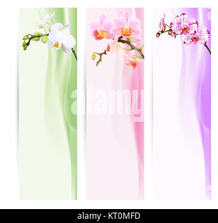 Banner, Lesezeichen mit Orchideen Stockfoto