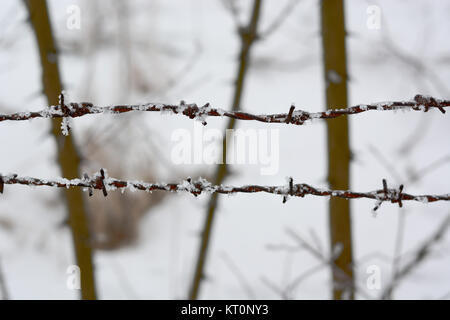 In der Nähe von Stacheldraht im Winter mit Schnee Stockfoto