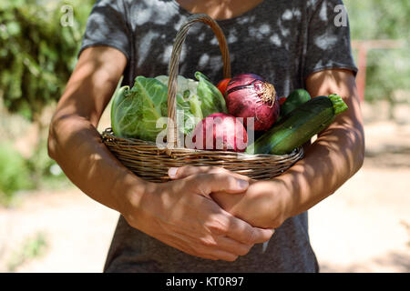 Closeup von einem kaukasischen Jüngling mit einem rustikalen Korb voll mit Gemüse frisch gesammelt in einem Bio-Obstgarten Stockfoto